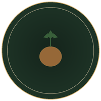 Vidarikand tuber illustration